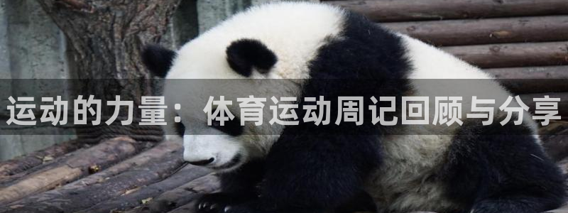 MK体育官方正版app代理：运动的力量：体育运动周记