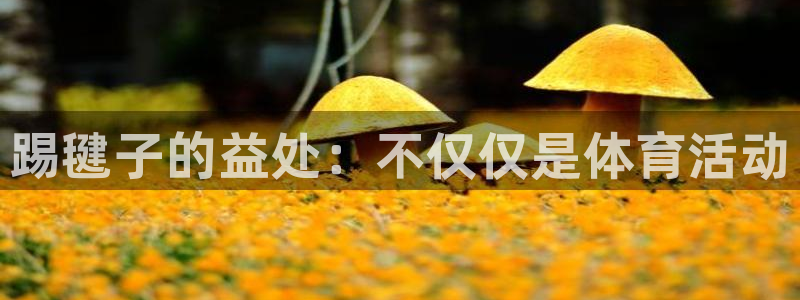 MK体育官方正版app集团简介：踢毽子的益处：不仅仅