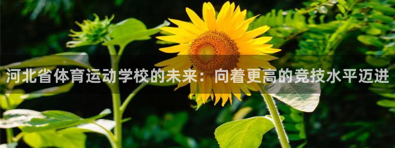 MK体育官网下载招商：河北省体育运动学校的未来：向着