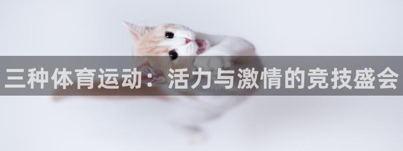 MK体育官网下载平台注册要钱吗是真的吗：三种体育运动：活力与
