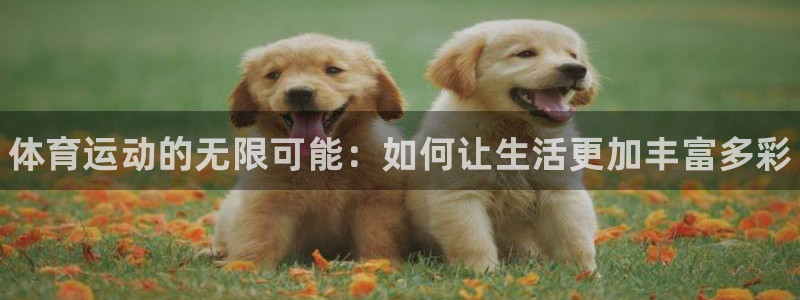 MK体育官网下载招商电话号码：体育运动的无限可能：如