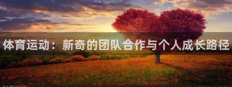 MK体育官网下载平台APP