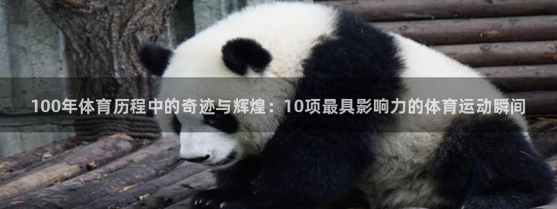 MK体育官网下载招商电话地址：100年体育历程中的奇迹与辉煌