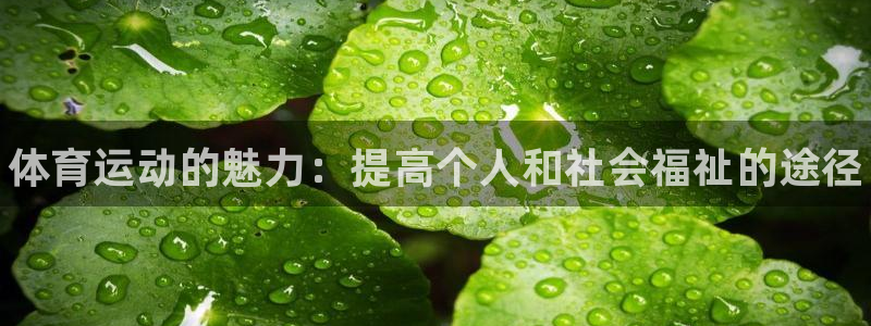 MK体育官网下载平台是正规平台吗安全吗：体育运动的魅力：提高