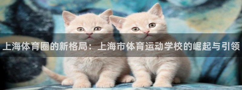 MK体育官网下载注册：上海体育圈的新格局：上海市体育运动学校