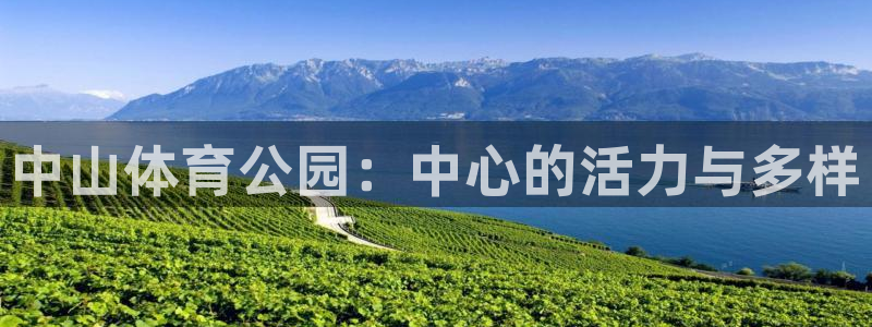 MK体育官网下载：中山体育公园：中心的活力与多样