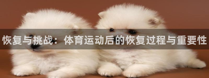 MK体育官网下载平台是正规平台吗：恢复与挑战：体育运动后的恢