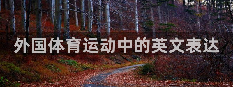 MK体育官方正版app娱乐代理怎么样：外国体育运动中的英文表