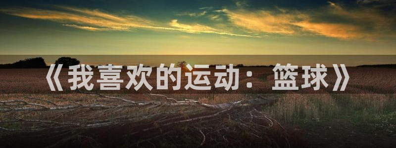 MK体育官方正版app娱乐首页网站大全：《我喜欢的运动：篮球