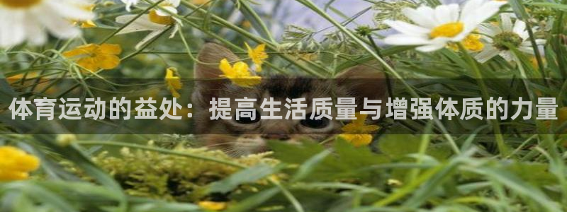 MK体育官方正版app娱乐平台：体育运动的益处：提高
