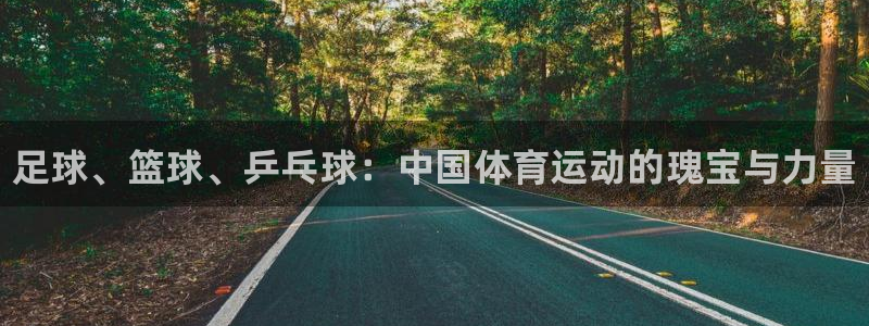 MK体育官方正版app集团简介