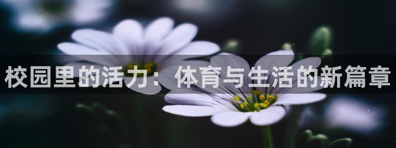 MK体育官网下载招商电话是多少号码：校园里的活力：体育与生活