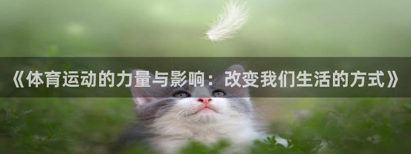 MK体育官方正版app科技