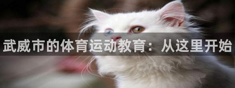 MK体育官方正版app集团官网首页：武威市的体育运动