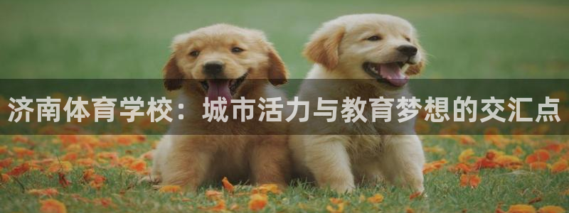 MK体育官方正版app娱乐平台：济南体育学校：城市活