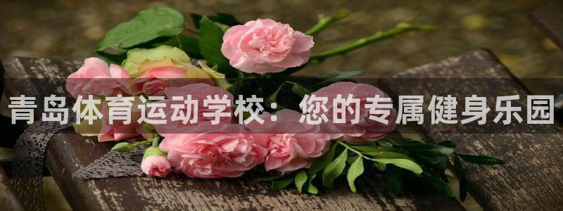 MK体育官方正版app新能源：青岛体育运动学校：您的