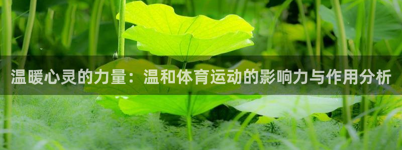 MK体育官网下载平台APP：温暖心灵的力量：温和体育