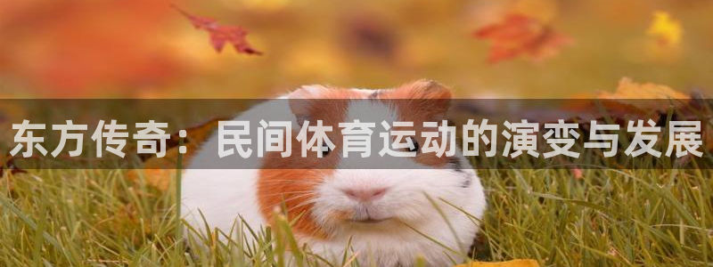 MK体育官方正版app集团官网网址：东方传奇：民间体育运动的