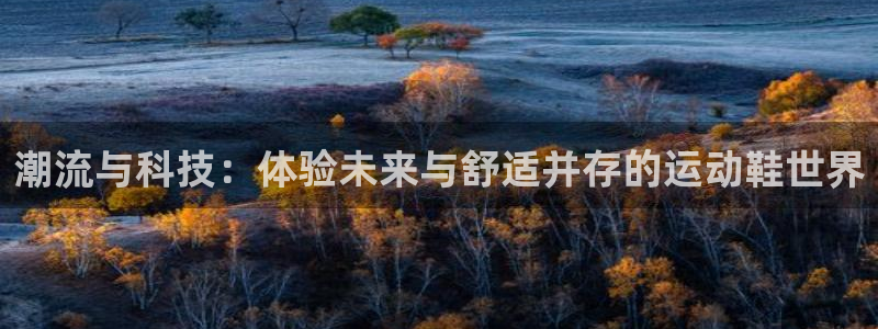 MK体育官方正版app官网