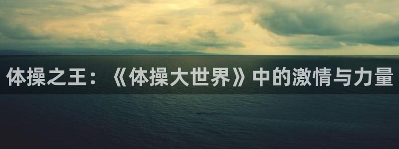 MK体育官方正版app集团官网网址:体操之王:《体操大世界》