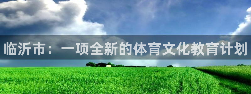 MK体育官网下载平台注册流程图：临沂市：一项全新的体