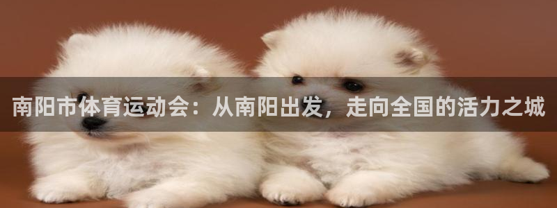 MK体育官网下载平台假的吗是真的吗:南阳市体育运动会:从南阳