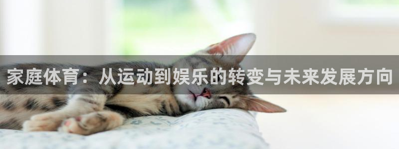 MK体育官方正版app娱乐是那个系列的台子：家庭体育：从运动