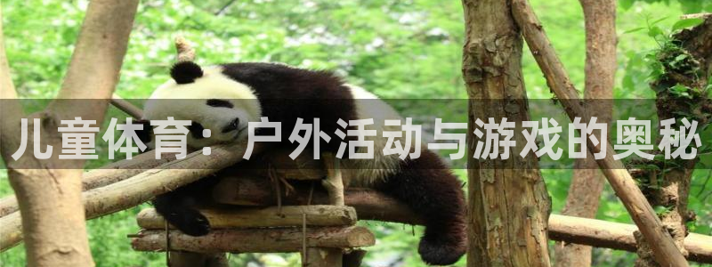 MK体育官网下载平台APP：儿童体育：户外活动与游戏的奥秘