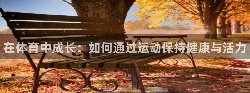 德国MK体育官方正版app集团