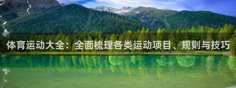 MK体育官网下载软件：体育运动大全：全面梳理各类运动项目、规