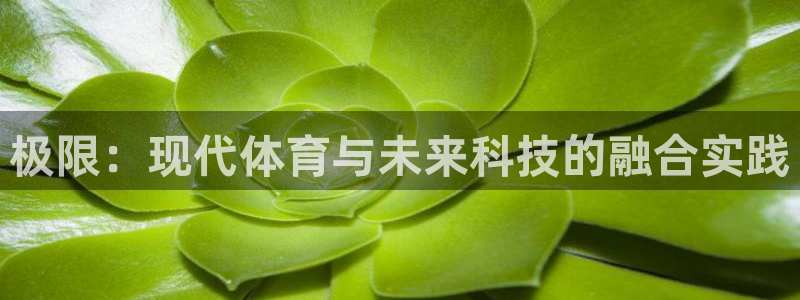 mk体育买的鞋是真的吗知乎：极限：现代体育与未来科技的融合实