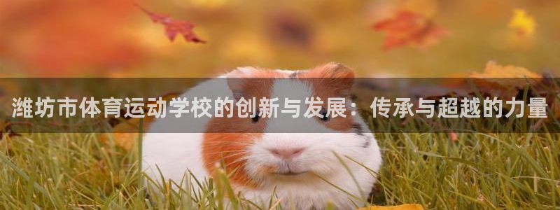 mk体育集团：潍坊市体育运动学校的创新与发展：传承与超越的力