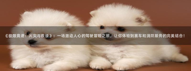  mk体育集团：《极限竞速：火灾与救援》：一场激动人心的驾驶冒